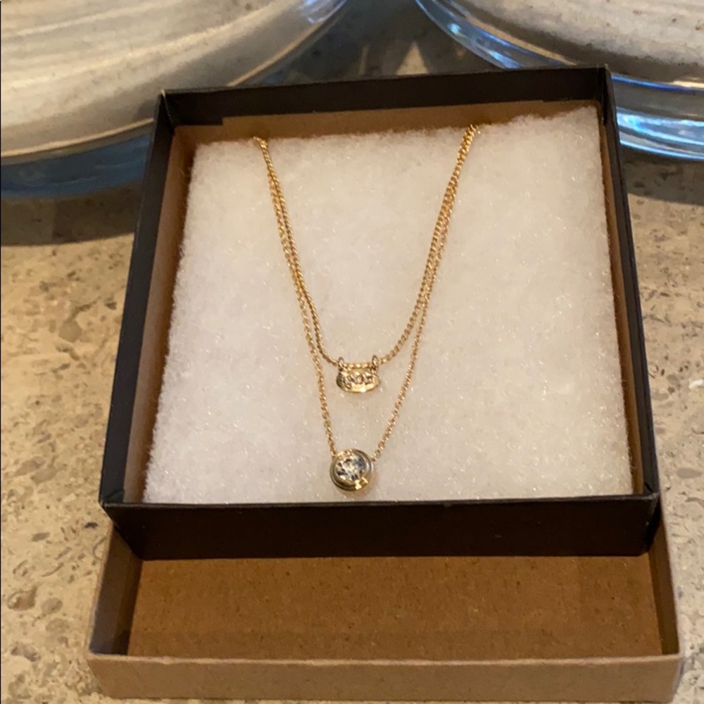 Banana Republic Almost Invisible Layering Necklace - Picture 3 of 13